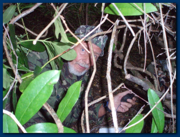 600x449 pixels (170K)